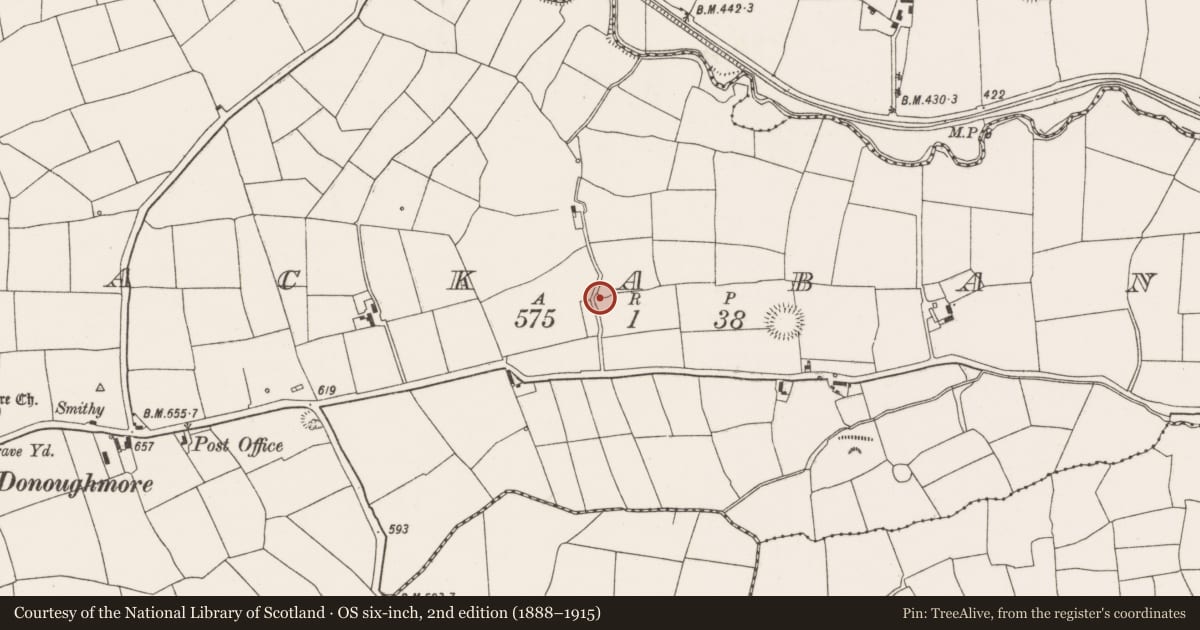 Ordnance Survey six-inch map, 2nd edition (1888–1915) covering the location of Ringfort - rath, Lackabane, County Cork, with a pin at the register's coordinates