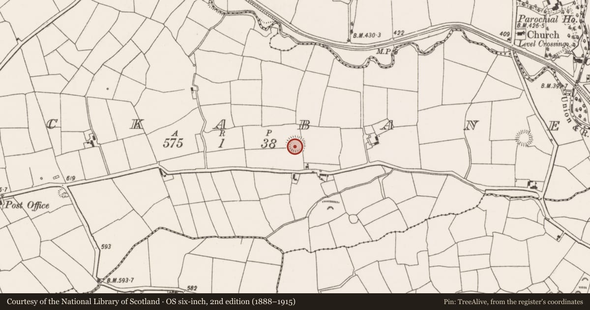 Ordnance Survey six-inch map, 2nd edition (1888–1915) covering the location of Ringfort - rath, Lackabane, County Cork, with a pin at the register's coordinates