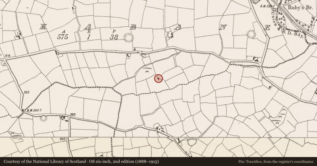 Ordnance Survey six-inch map, 2nd edition (1888–1915) covering the location of Ringfort - rath, Lackabane, County Cork, with a pin at the register's coordinates