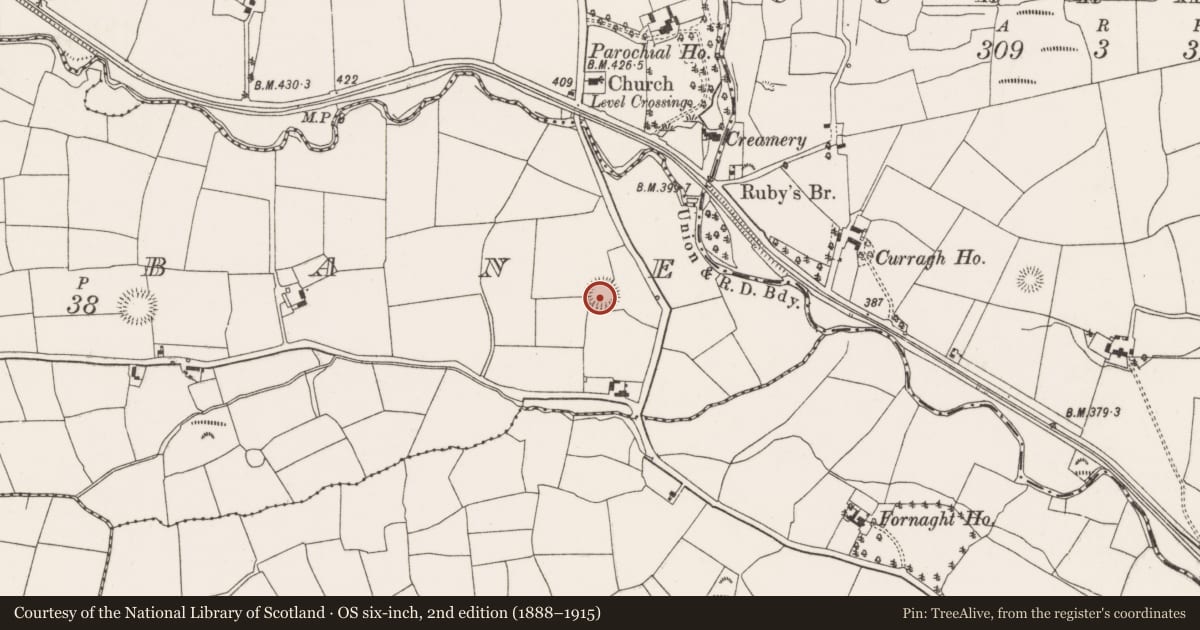 Ordnance Survey six-inch map, 2nd edition (1888–1915) covering the location of Ringfort - rath, Lackabane, County Cork, with a pin at the register's coordinates