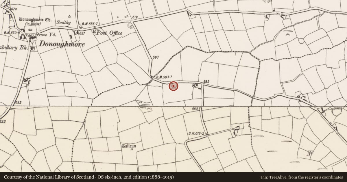 Ordnance Survey six-inch map, 2nd edition (1888–1915) covering the location of Ringfort - rath, Ballygirriha, County Cork, with a pin at the register's coordinates