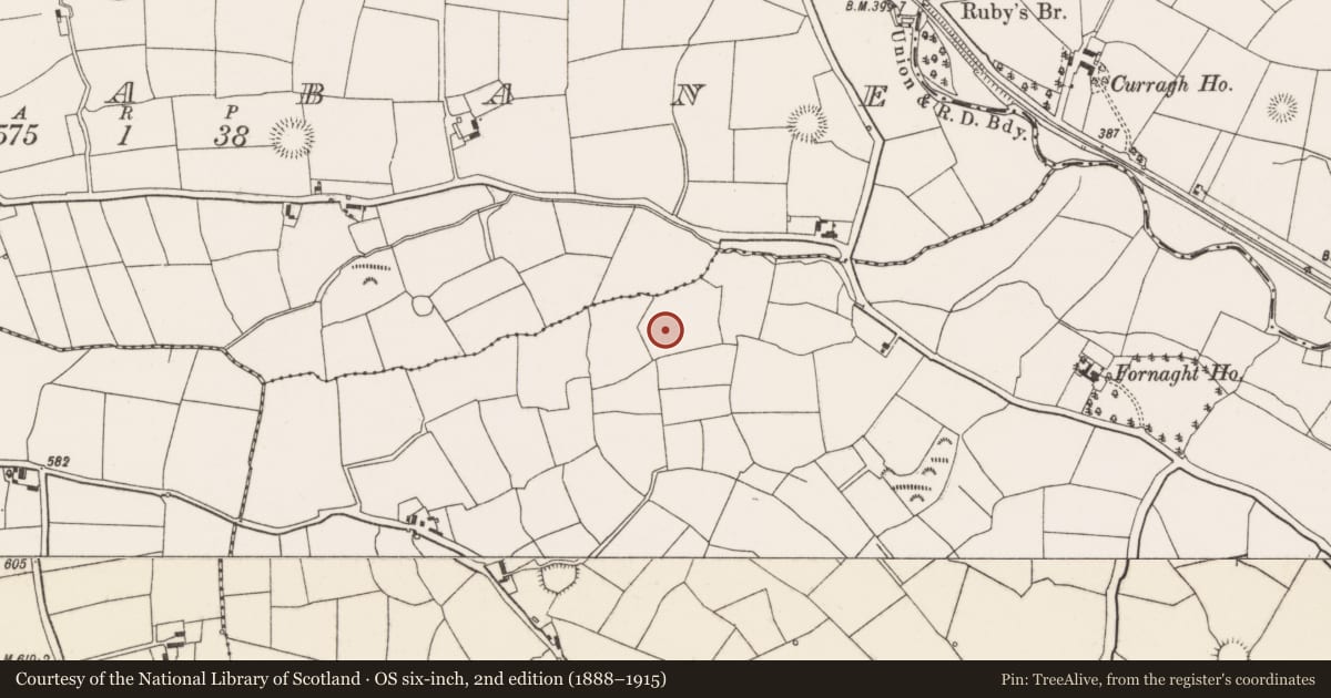 Ordnance Survey six-inch map, 2nd edition (1888–1915) covering the location of Standing stone, Fornaght, County Cork, with a pin at the register's coordinates