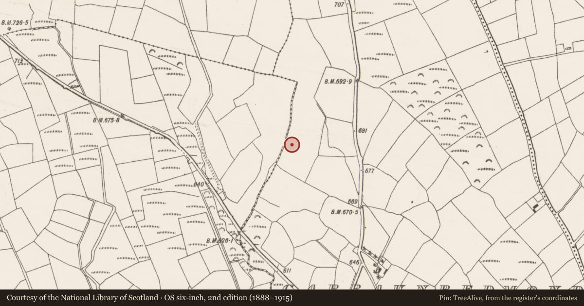 Ordnance Survey six-inch map, 2nd edition (1888–1915) covering the location of Fulacht fia, Garraunredmond, County Cork, with a pin at the register's coordinates