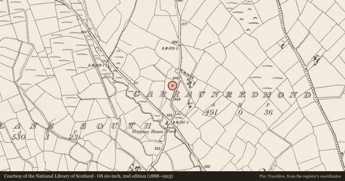 Ordnance Survey six-inch map, 2nd edition (1888–1915) covering the location of Fulacht fia, Garraunredmond, County Cork, with a pin at the register's coordinates