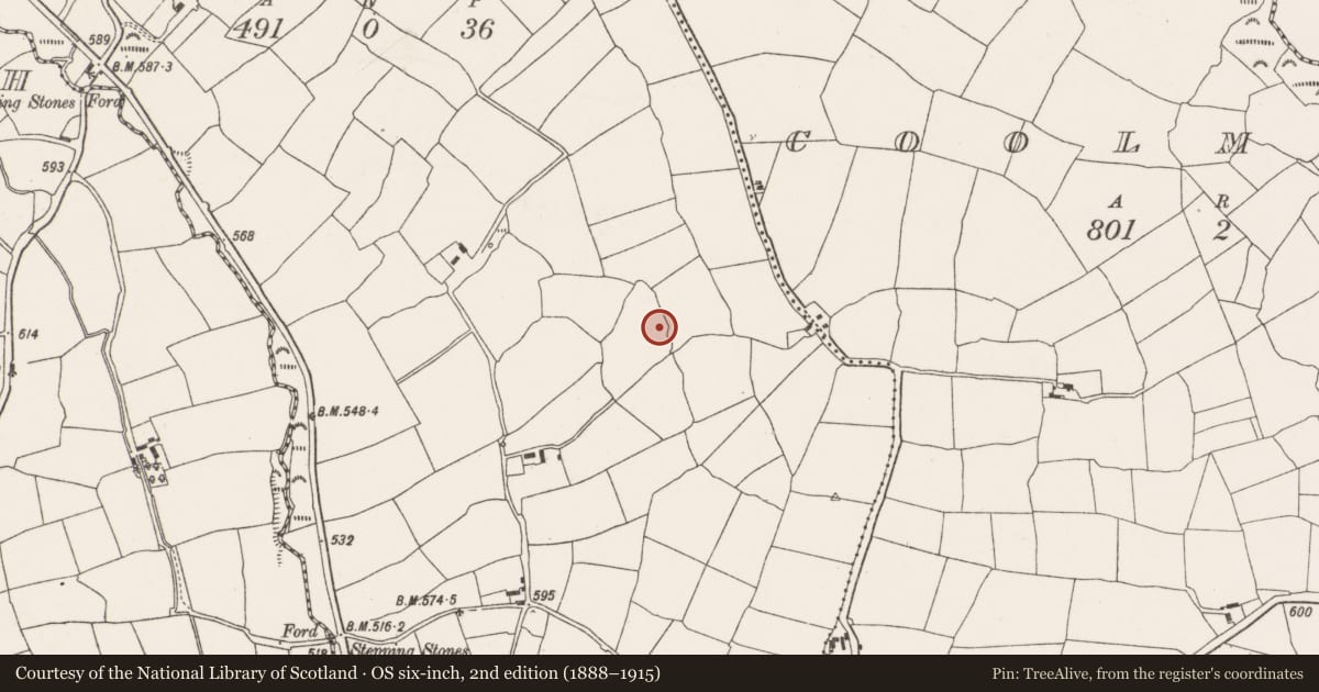 Ordnance Survey six-inch map, 2nd edition (1888–1915) covering the location of Ringfort - rath, Garraunredmond, County Cork, with a pin at the register's coordinates