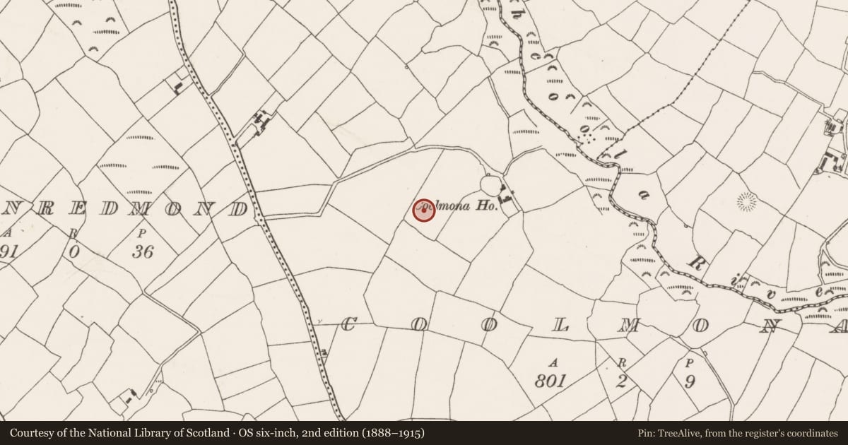 Ordnance Survey six-inch map, 2nd edition (1888–1915) covering the location of Standing stone, Coolmona, County Cork, with a pin at the register's coordinates