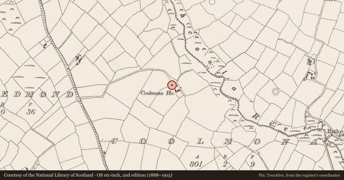 Ordnance Survey six-inch map, 2nd edition (1888–1915) covering the location of Ringfort - rath, Coolmona, County Cork, with a pin at the register's coordinates