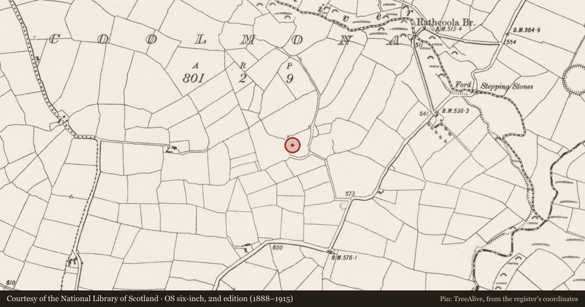 Ordnance Survey six-inch map, 2nd edition (1888–1915) covering the location of Ringfort - rath, Coolmona, County Cork, with a pin at the register's coordinates