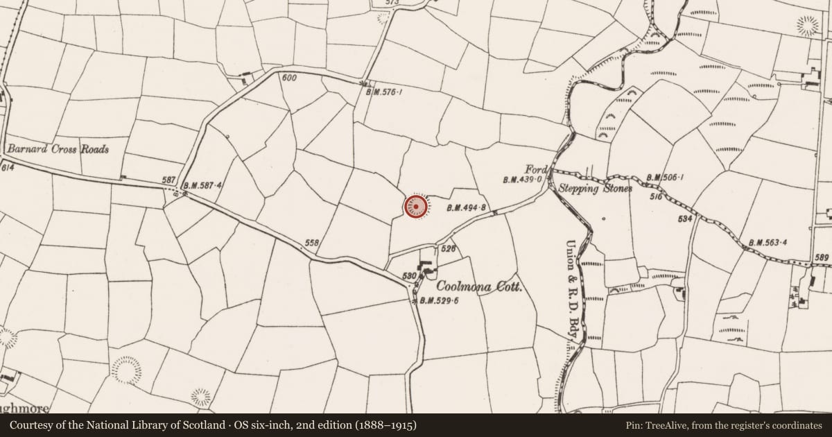 Ordnance Survey six-inch map, 2nd edition (1888–1915) covering the location of Ringfort - rath, Coolmona, County Cork, with a pin at the register's coordinates