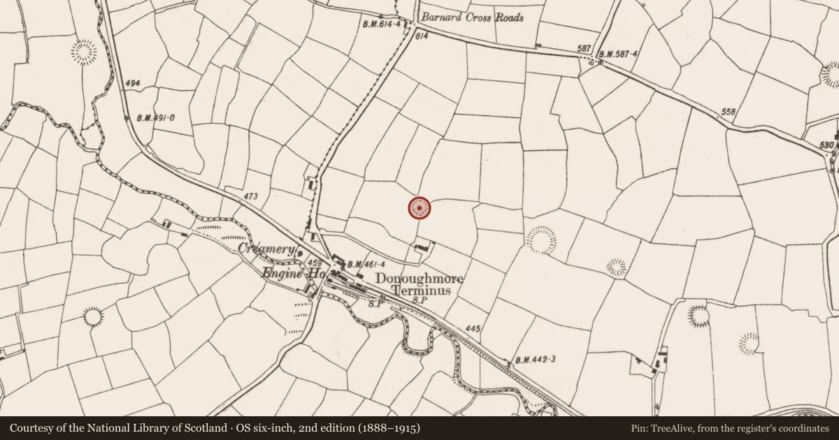Ordnance Survey six-inch map, 2nd edition (1888–1915) covering the location of Ringfort - rath, Coolmona, County Cork, with a pin at the register's coordinates