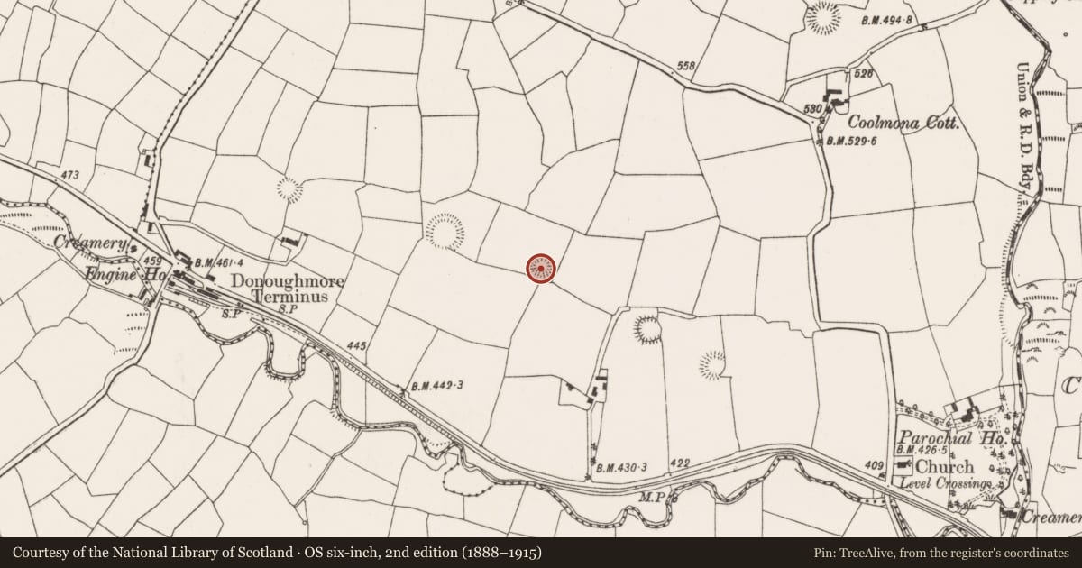 Ordnance Survey six-inch map, 2nd edition (1888–1915) covering the location of Ringfort - rath, Coolmona, County Cork, with a pin at the register's coordinates