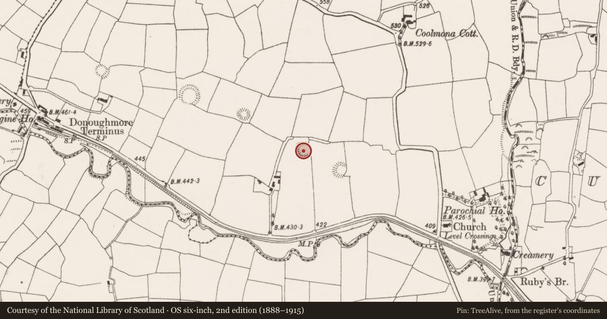 Ordnance Survey six-inch map, 2nd edition (1888–1915) covering the location of Ringfort - rath, Coolmona, County Cork, with a pin at the register's coordinates