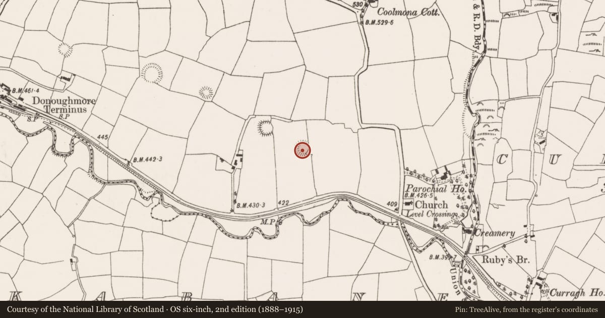 Ordnance Survey six-inch map, 2nd edition (1888–1915) covering the location of Ringfort - rath, Coolmona, County Cork, with a pin at the register's coordinates