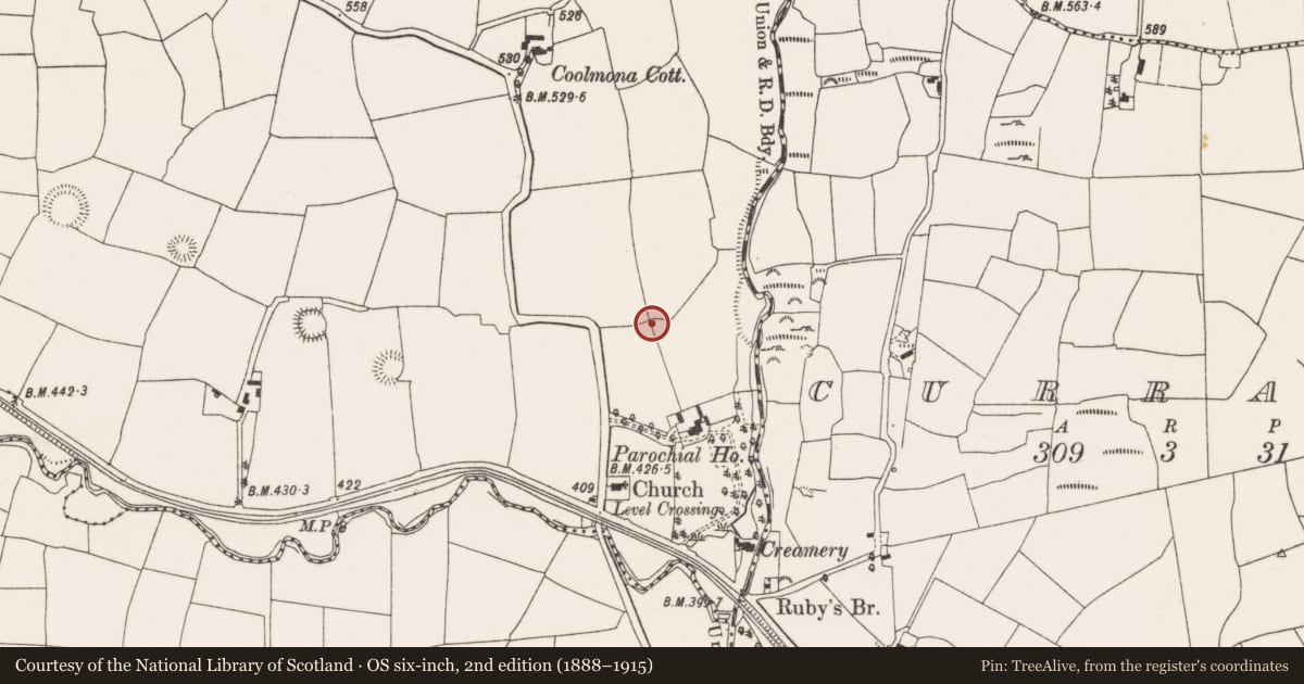 Ordnance Survey six-inch map, 2nd edition (1888–1915) covering the location of Souterrain, Coolmona, County Cork, with a pin at the register's coordinates