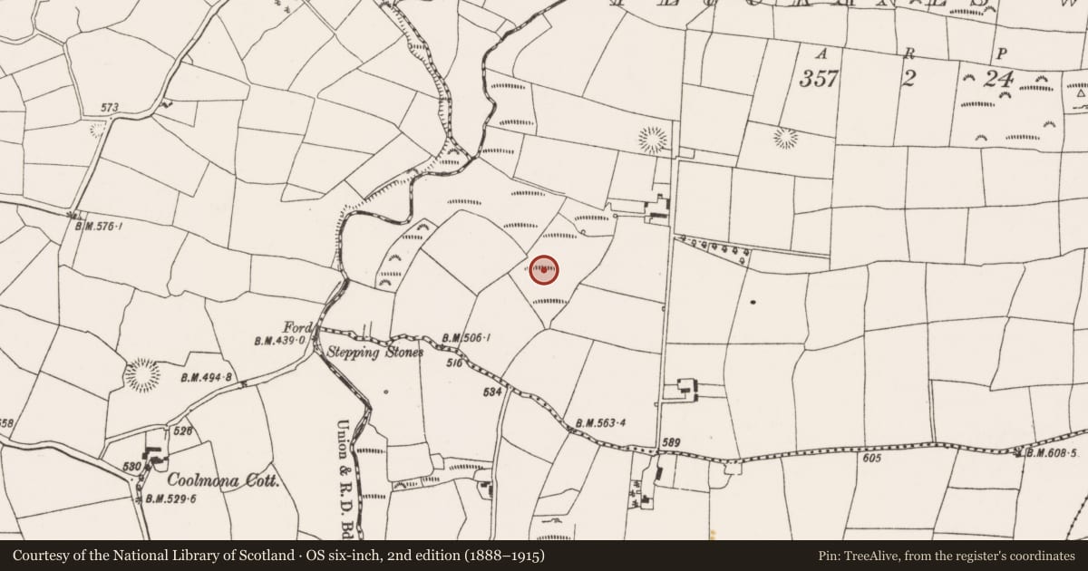 Ordnance Survey six-inch map, 2nd edition (1888–1915) covering the location of Fulacht fia, Pluckanes West, County Cork, with a pin at the register's coordinates