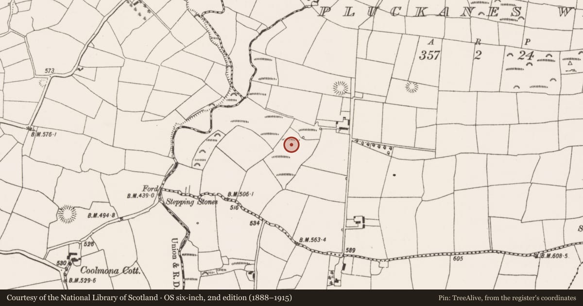 Ordnance Survey six-inch map, 2nd edition (1888–1915) covering the location of Fulacht fia, Pluckanes West, County Cork, with a pin at the register's coordinates