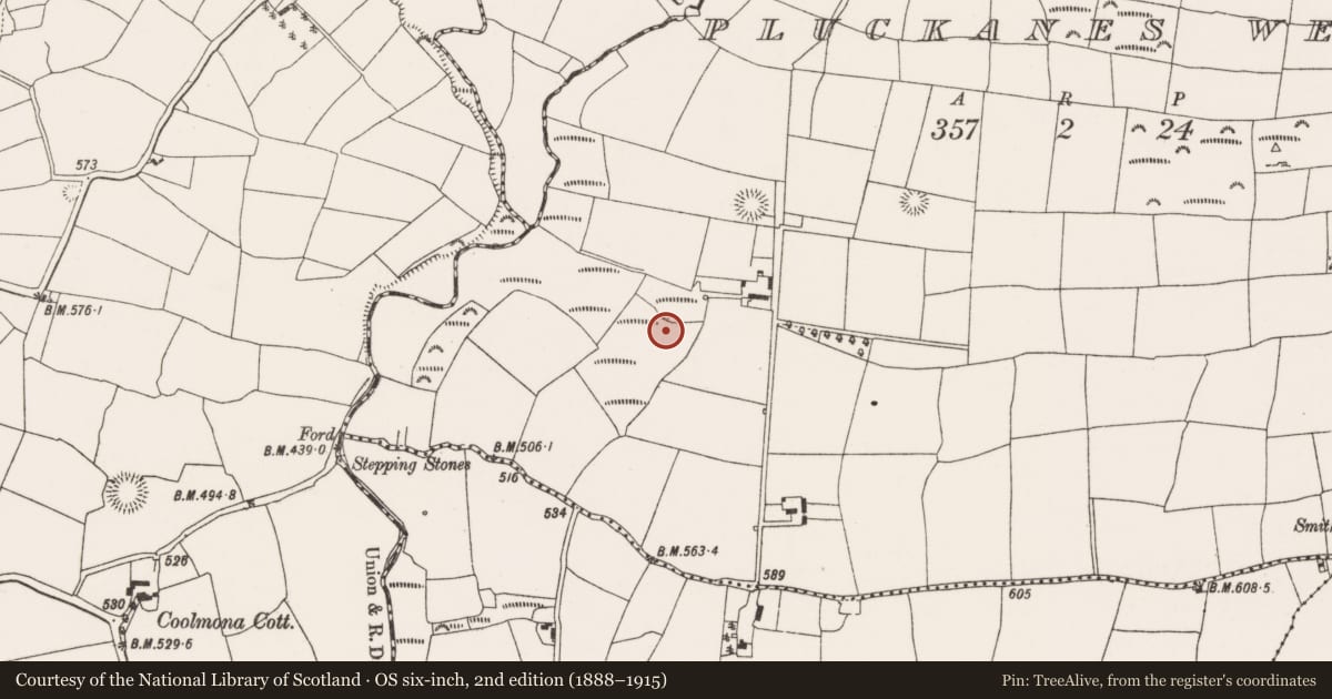 Ordnance Survey six-inch map, 2nd edition (1888–1915) covering the location of Fulacht fia, Pluckanes West, County Cork, with a pin at the register's coordinates