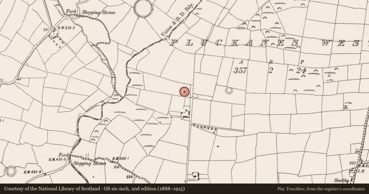 Ordnance Survey six-inch map, 2nd edition (1888–1915) covering the location of Ringfort - rath, Pluckanes West, County Cork, with a pin at the register's coordinates