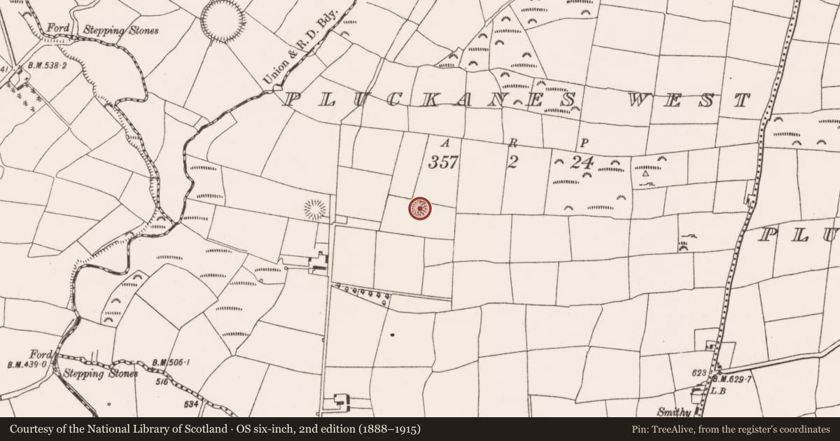 Ordnance Survey six-inch map, 2nd edition (1888–1915) covering the location of Ringfort - rath, Pluckanes West, County Cork, with a pin at the register's coordinates