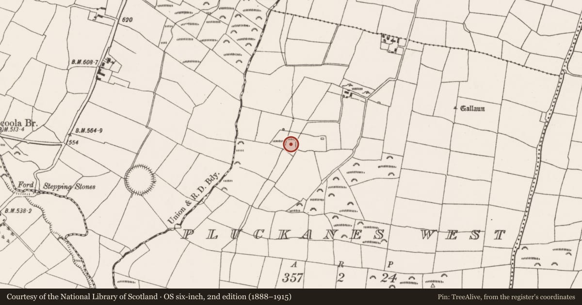Ordnance Survey six-inch map, 2nd edition (1888–1915) covering the location of Fulacht fia, Pluckanes West, County Cork, with a pin at the register's coordinates