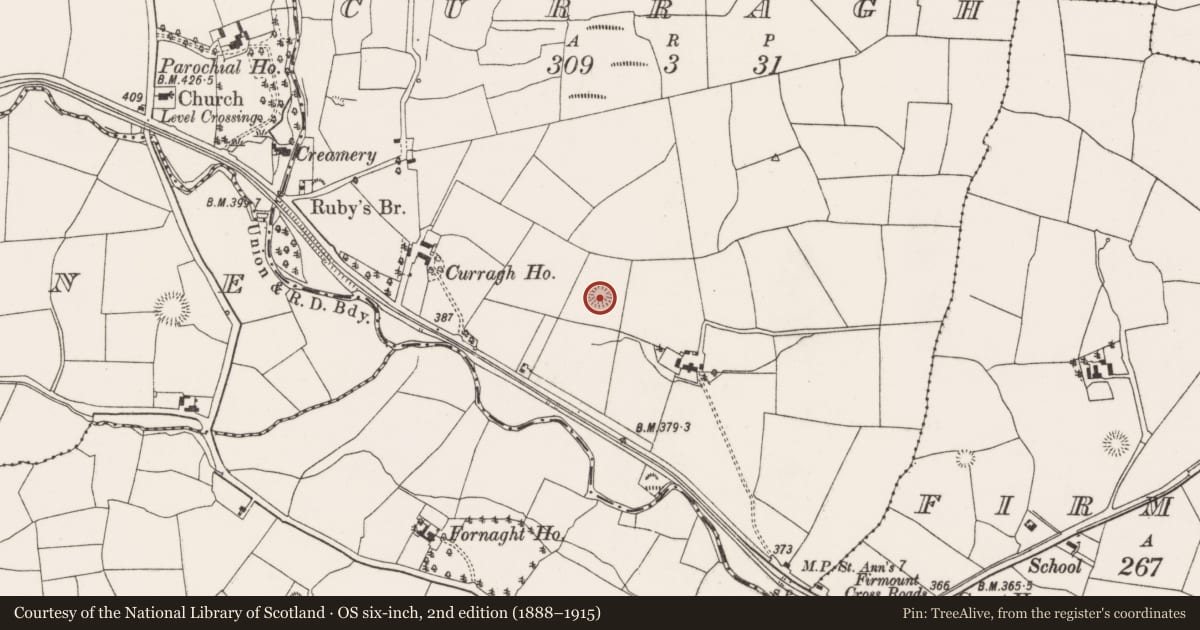 Ordnance Survey six-inch map, 2nd edition (1888–1915) covering the location of Ringfort - rath, Curragh, County Cork, with a pin at the register's coordinates