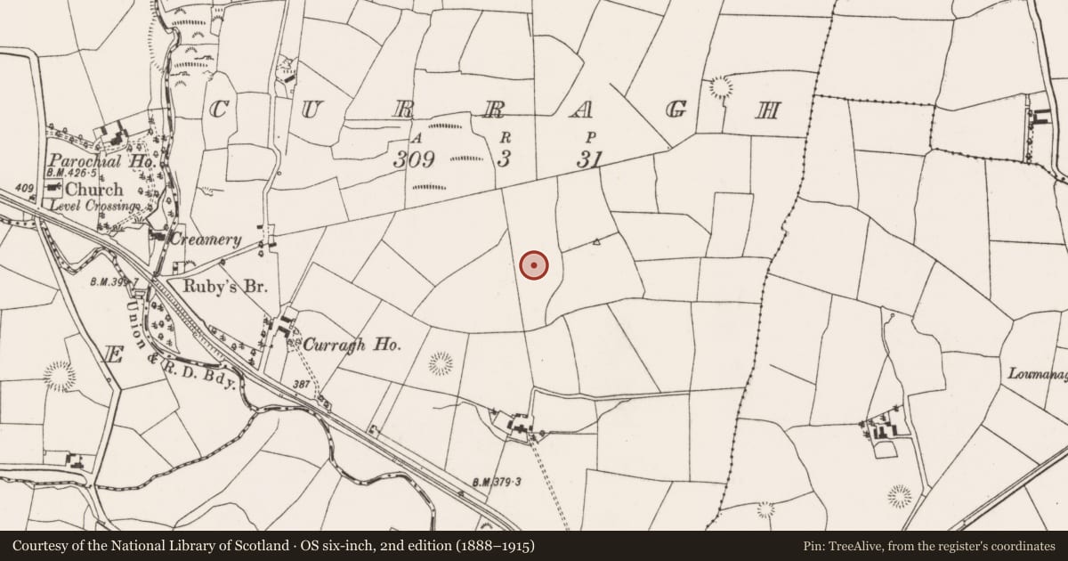 Ordnance Survey six-inch map, 2nd edition (1888–1915) covering the location of Standing stone, Curragh, County Cork, with a pin at the register's coordinates