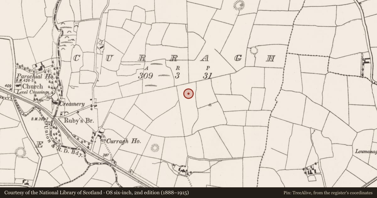 Ordnance Survey six-inch map, 2nd edition (1888–1915) covering the location of Standing stone, Curragh, County Cork, with a pin at the register's coordinates