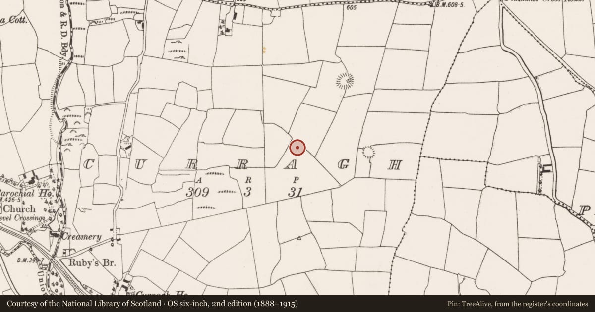 Ordnance Survey six-inch map, 2nd edition (1888–1915) covering the location of Fulacht fia, Curragh, County Cork, with a pin at the register's coordinates