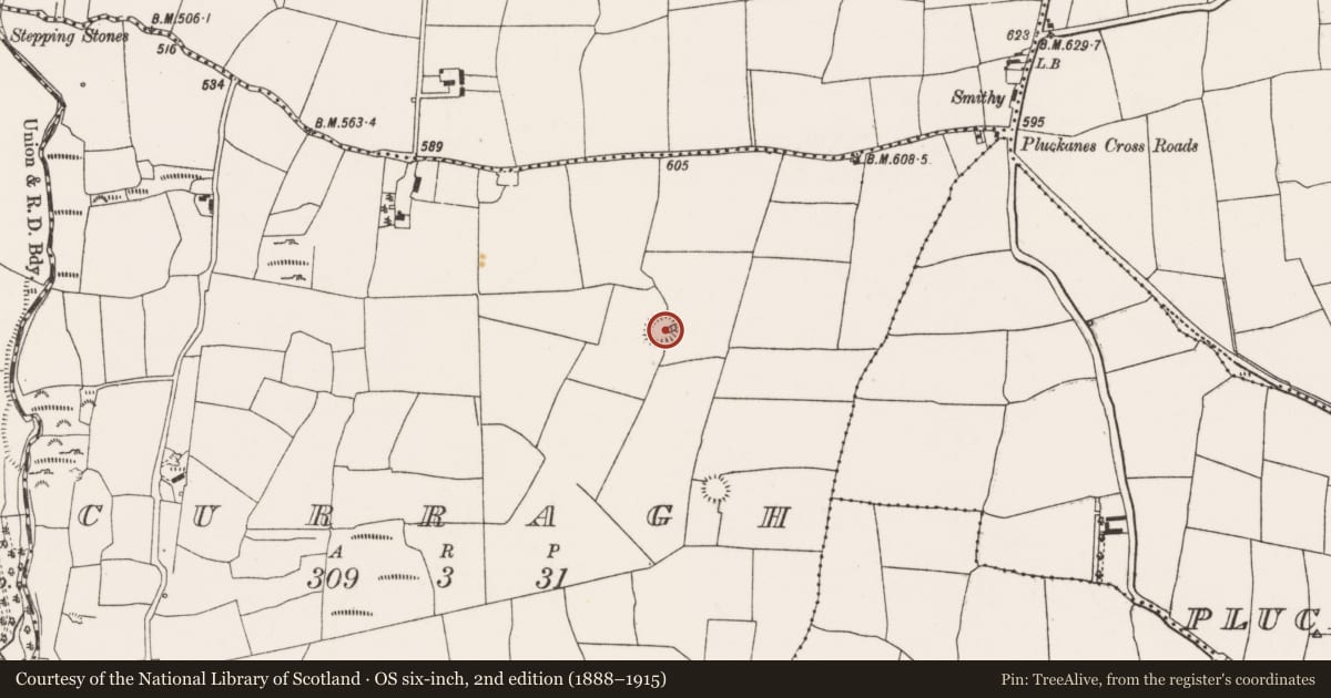 Ordnance Survey six-inch map, 2nd edition (1888–1915) covering the location of Ringfort - rath, Curragh, County Cork, with a pin at the register's coordinates