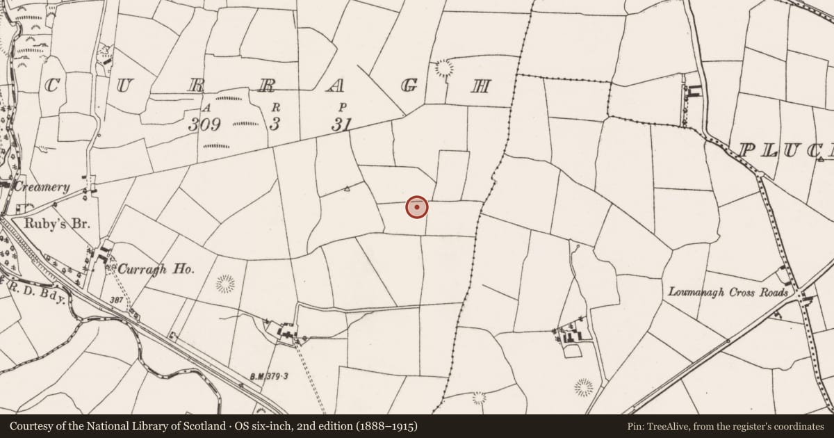 Ordnance Survey six-inch map, 2nd edition (1888–1915) covering the location of Fulacht fia, Curragh, County Cork, with a pin at the register's coordinates