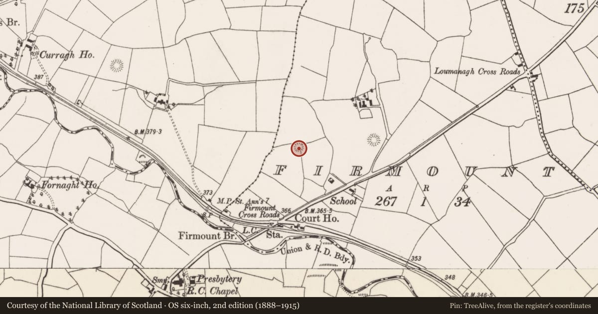 Ordnance Survey six-inch map, 2nd edition (1888–1915) covering the location of Ringfort - rath, Firmount, County Cork, with a pin at the register's coordinates