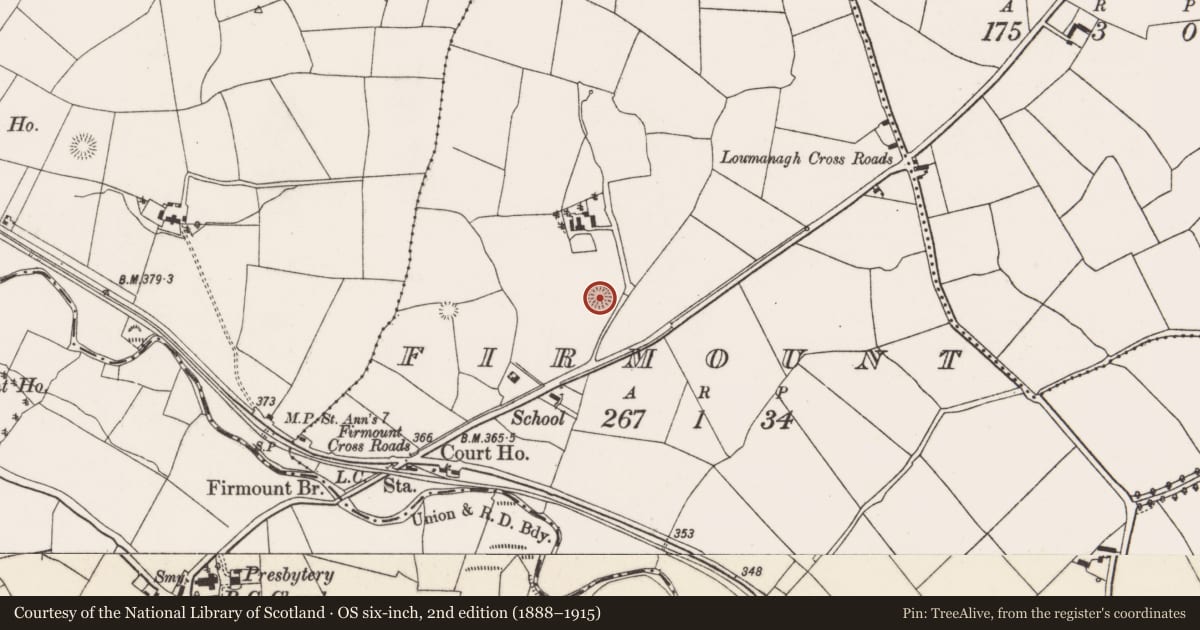 Ordnance Survey six-inch map, 2nd edition (1888–1915) covering the location of Ringfort - rath, Firmount, County Cork, with a pin at the register's coordinates