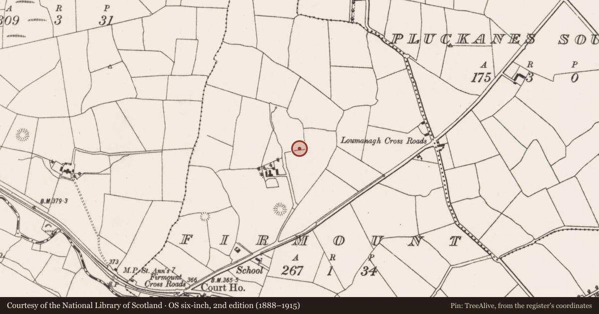 Ordnance Survey six-inch map, 2nd edition (1888–1915) covering the location of Fulacht fia, Firmount, County Cork, with a pin at the register's coordinates