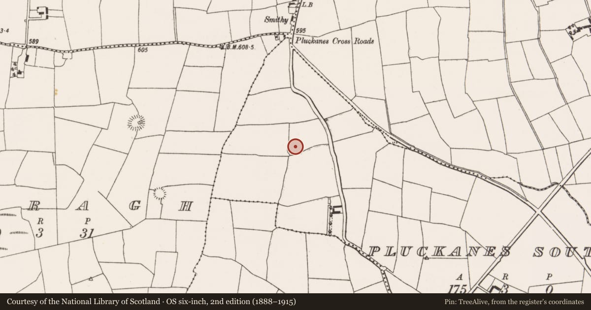 Ordnance Survey six-inch map, 2nd edition (1888–1915) covering the location of Ringfort - rath, Pluckanes South, County Cork, with a pin at the register's coordinates