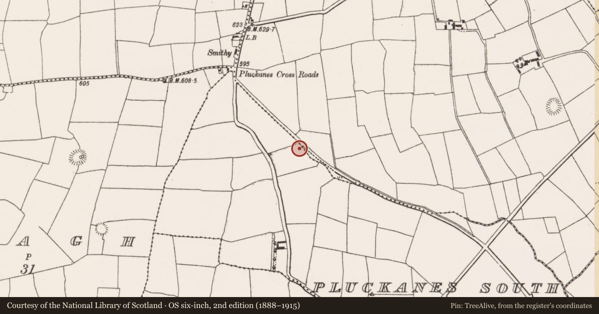 Ordnance Survey six-inch map, 2nd edition (1888–1915) covering the location of Fulacht fia, Pluckanes South, County Cork, with a pin at the register's coordinates