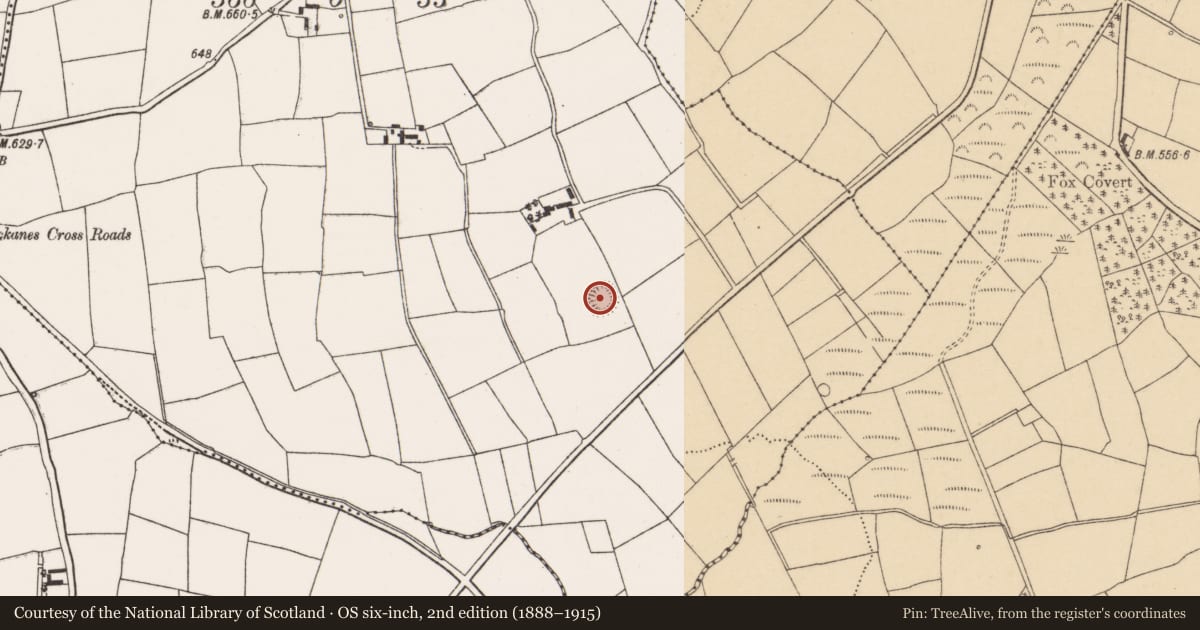 Ordnance Survey six-inch map, 2nd edition (1888–1915) covering the location of Ringfort - rath, Pluckanes East, County Cork, with a pin at the register's coordinates