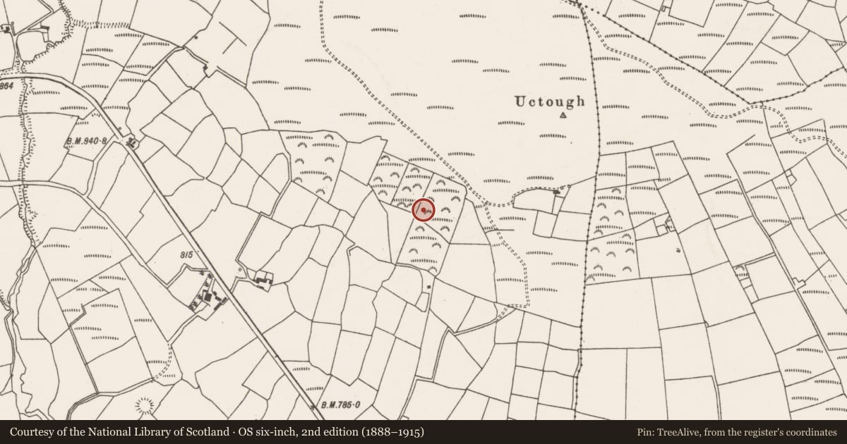Ordnance Survey six-inch map, 2nd edition (1888–1915) covering the location of Fulacht fia, Barrahaurin, County Cork, with a pin at the register's coordinates