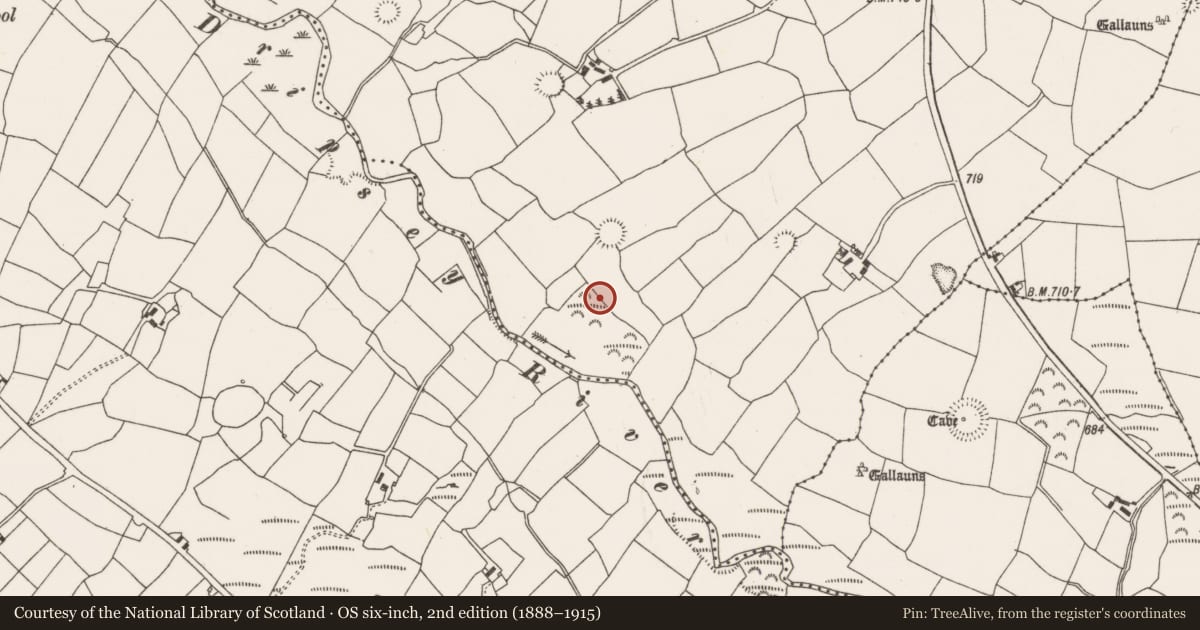 Ordnance Survey six-inch map, 2nd edition (1888–1915) covering the location of Fulacht fia, Barrahaurin, County Cork, with a pin at the register's coordinates