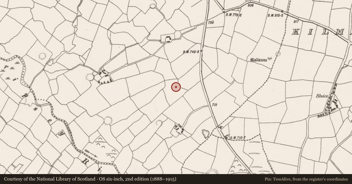 Ordnance Survey six-inch map, 2nd edition (1888–1915) covering the location of Fulacht fia, Barrahaurin, County Cork, with a pin at the register's coordinates