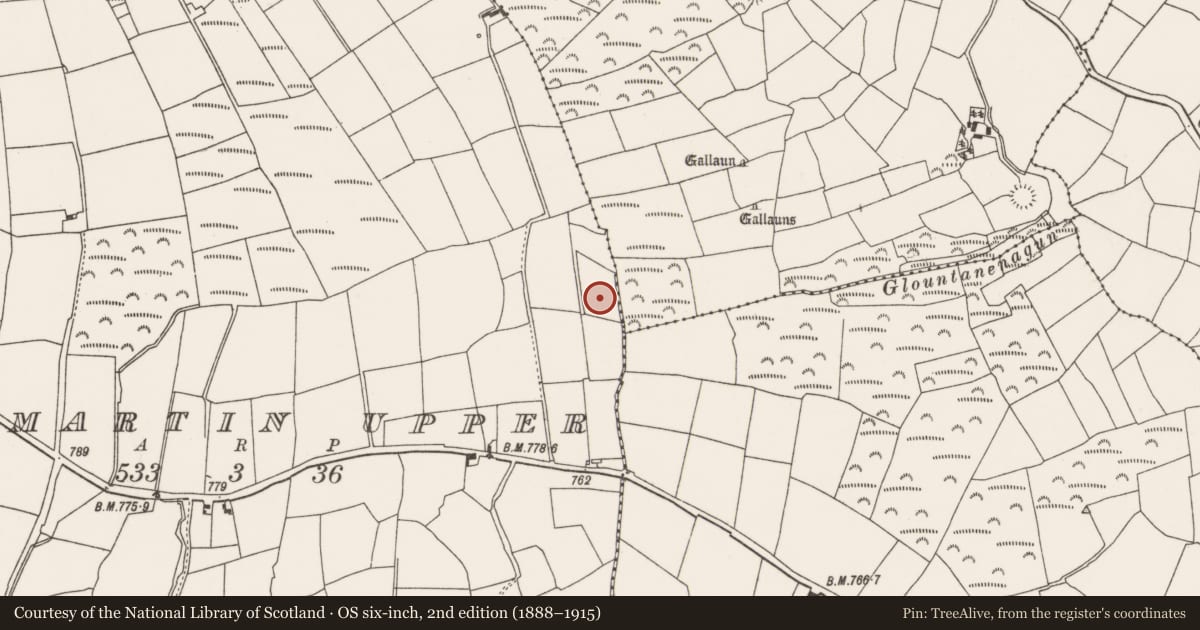 Ordnance Survey six-inch map, 2nd edition (1888–1915) covering the location of Fulacht fia, Kilmartin Upper, County Cork, with a pin at the register's coordinates