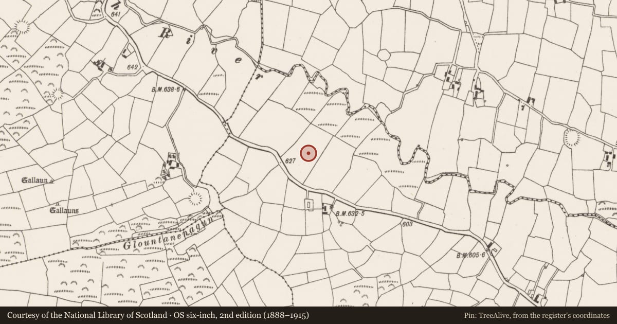 Ordnance Survey six-inch map, 2nd edition (1888–1915) covering the location of Church, Knockyrourke, County Cork, with a pin at the register's coordinates