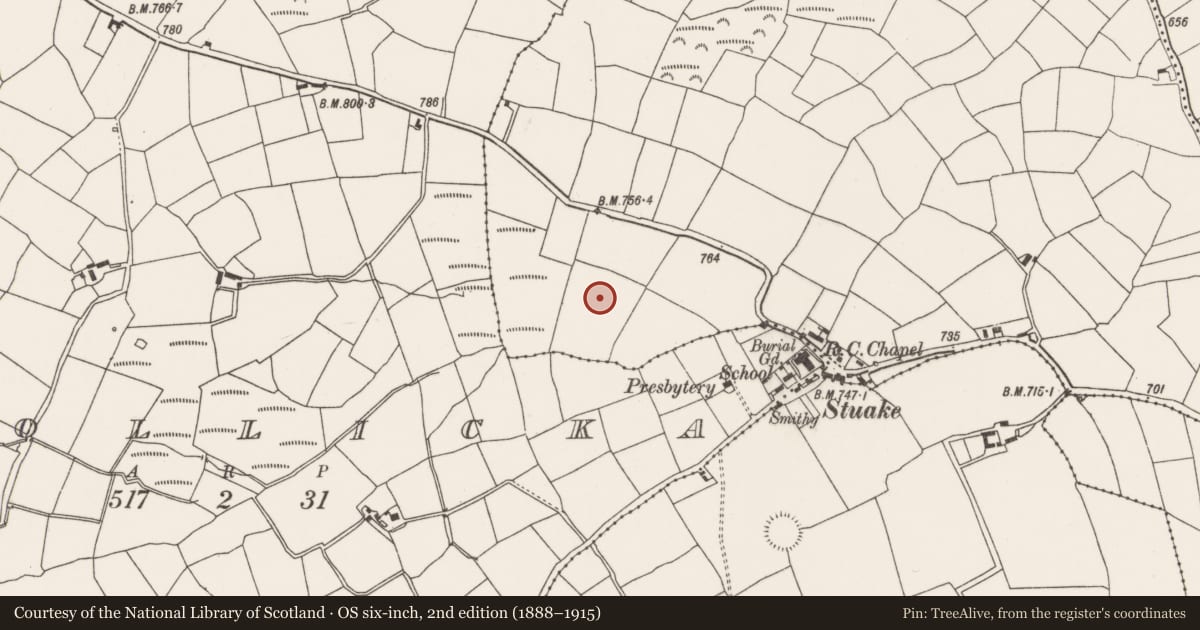 Ordnance Survey six-inch map, 2nd edition (1888–1915) covering the location of Burnt mound, Knockyrourke, County Cork, with a pin at the register's coordinates