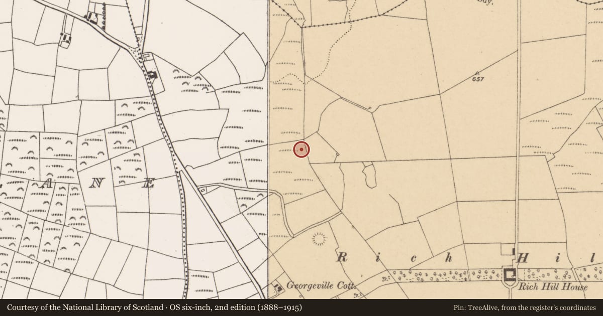 Ordnance Survey six-inch map, 2nd edition (1888–1915) covering the location of Fulacht fia, Pluckanes North, County Cork, with a pin at the register's coordinates