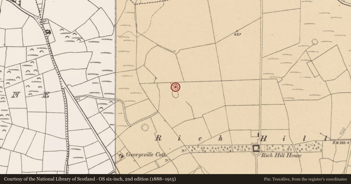 Ordnance Survey six-inch map, 2nd edition (1888–1915) covering the location of Ringfort - rath, Pluckanes North, County Cork, with a pin at the register's coordinates