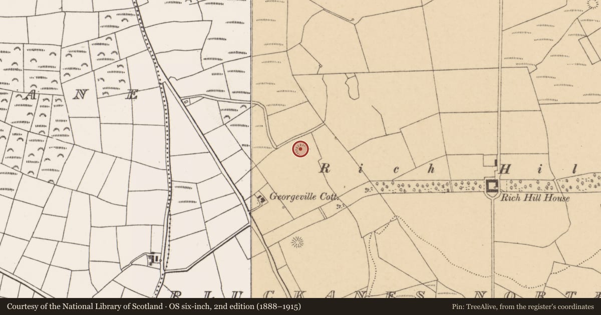 Ordnance Survey six-inch map, 2nd edition (1888–1915) covering the location of Ringfort - rath, Pluckanes North, County Cork, with a pin at the register's coordinates