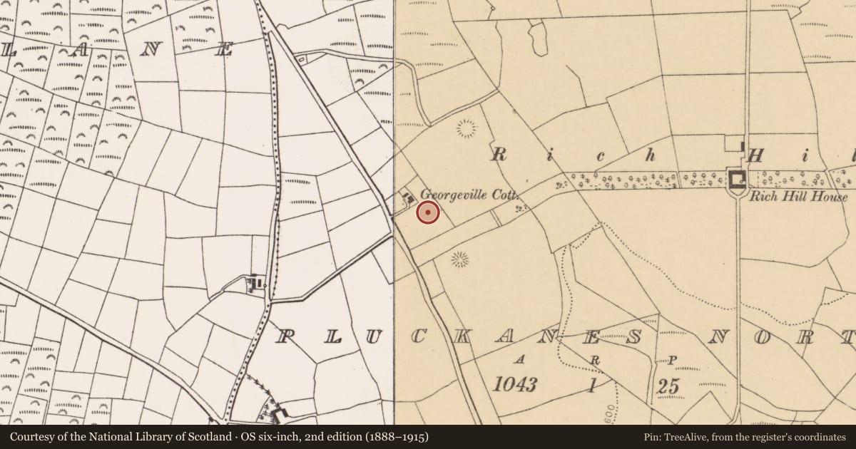 Ordnance Survey six-inch map, 2nd edition (1888–1915) covering the location of Standing stone, Pluckanes North, County Cork, with a pin at the register's coordinates