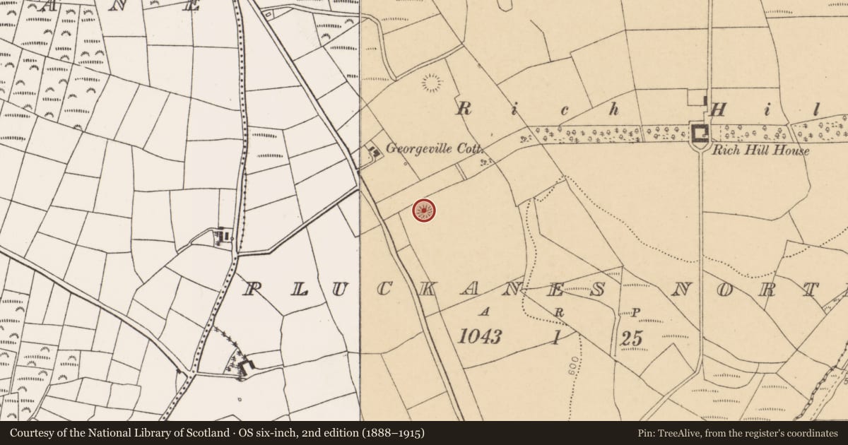 Ordnance Survey six-inch map, 2nd edition (1888–1915) covering the location of Ringfort - rath, Pluckanes North, County Cork, with a pin at the register's coordinates