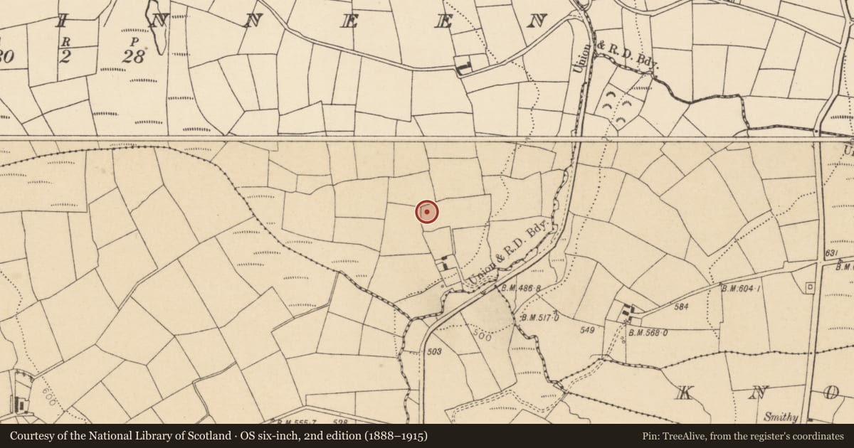 Ordnance Survey six-inch map, 2nd edition (1888–1915) covering the location of Ringfort - rath, Lahakinneen, County Cork, with a pin at the register's coordinates