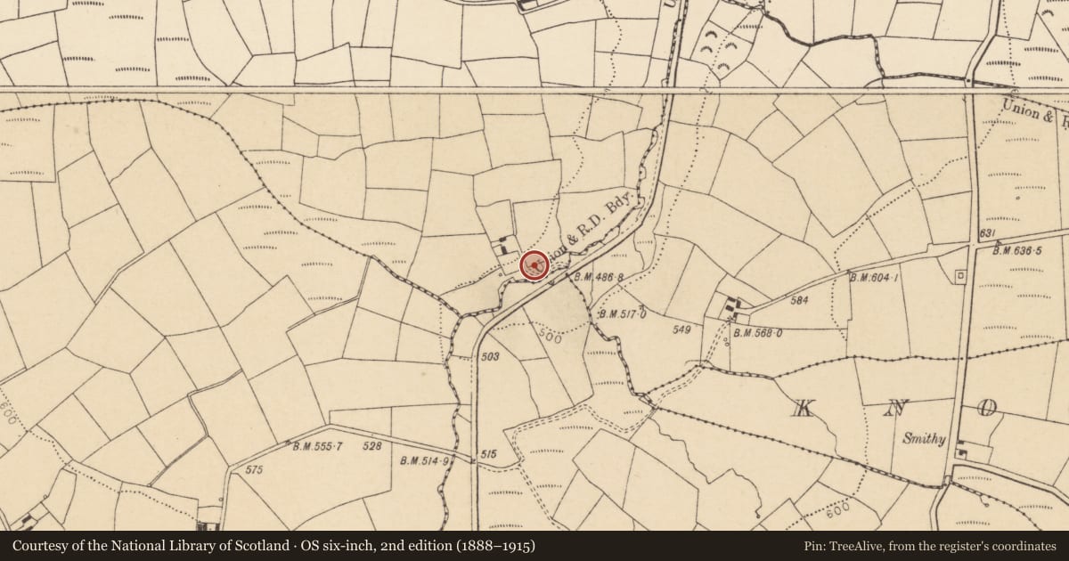 Ordnance Survey six-inch map, 2nd edition (1888–1915) covering the location of Fulacht fia, Lahakinneen, County Cork, with a pin at the register's coordinates