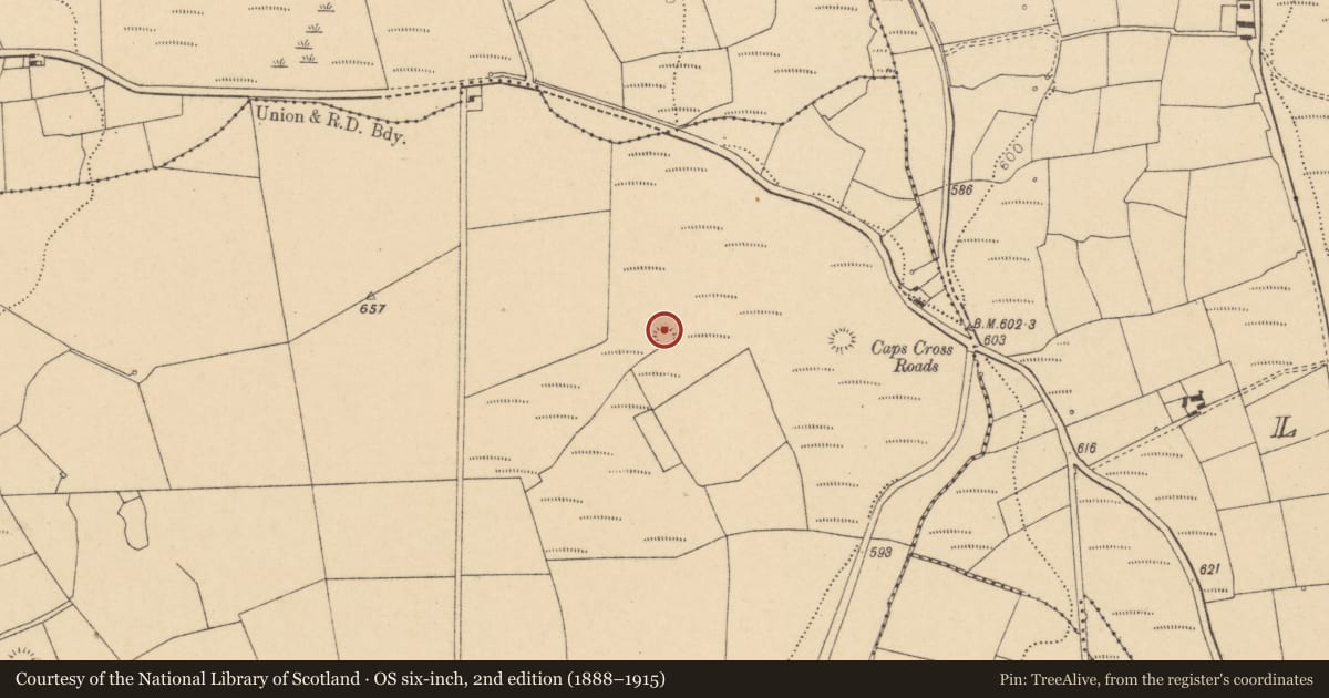 Ordnance Survey six-inch map, 2nd edition (1888–1915) covering the location of Earthwork, Pluckanes North, County Cork, with a pin at the register's coordinates